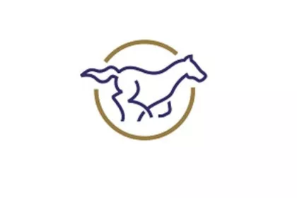 Bigger view of Chinees logo OES