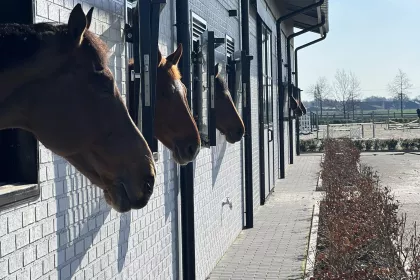 Bigger view of Stablemanagement